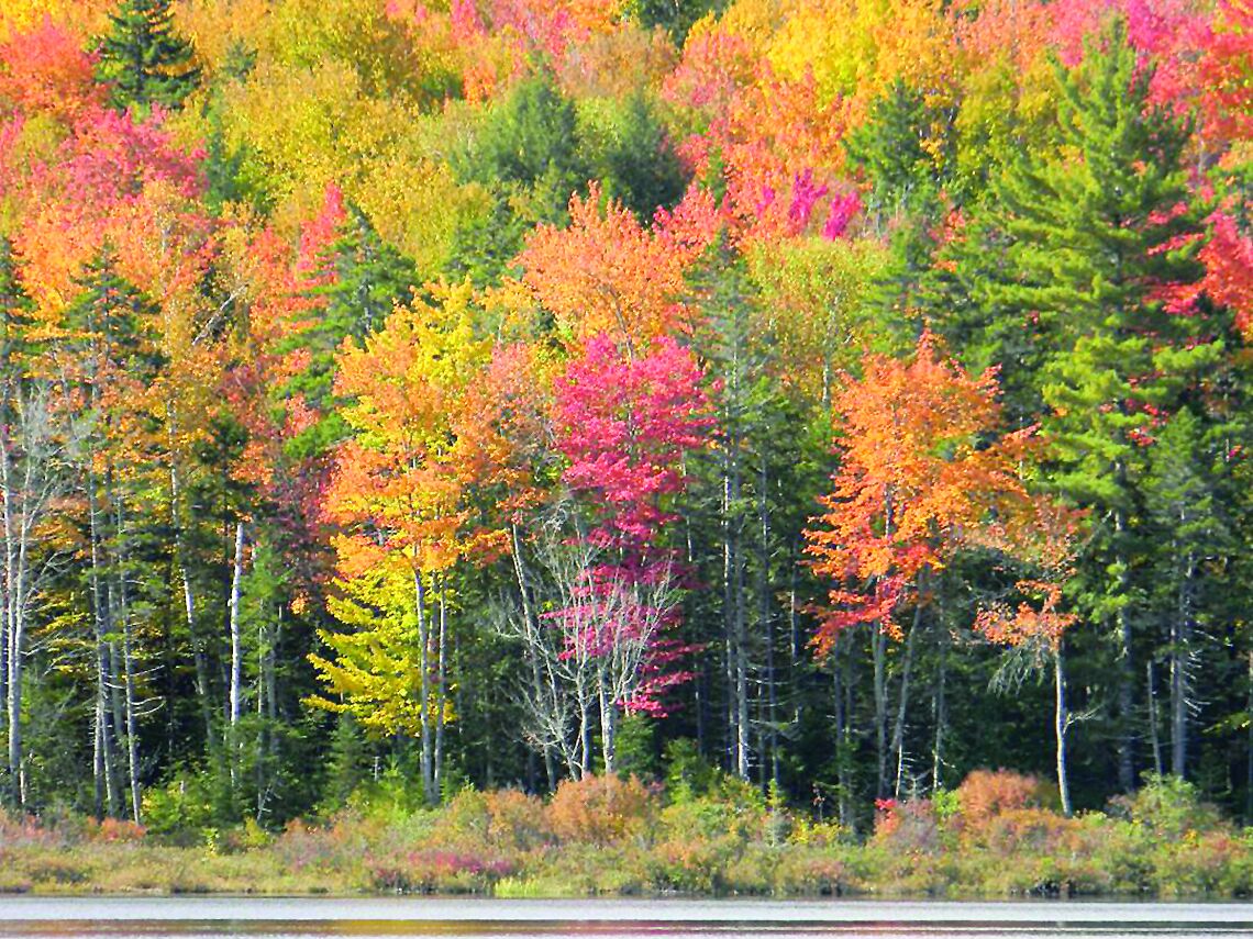 Hiking: A quick visit to Church Pond to take in the foliage